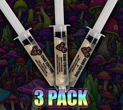 Cube Culture Beginner 3 PACK - Golden Teacher / B+ / Burma - Isolated Liquid Culture - Image 2